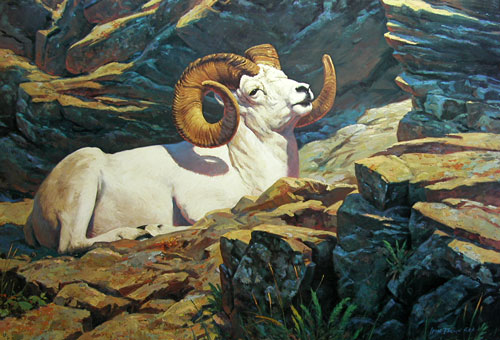 Leon Parson Wildlife Art/ Big Horn Sheep/ Catching Some Sun