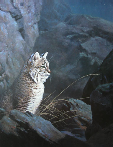 Leon Parson Wildlife Art / Cats/ Bobcat