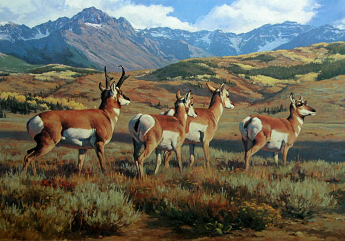 Leon Parson Wildlife Art / Antelope/ On the Move