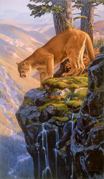 Leon Parson Wildlife Art / Cats/ Bobcat