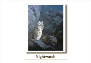 Leon Parson Wildlife Art / Cats/ Bobcat