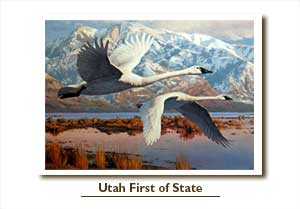 Leon Parson Wildlife Art / Birds/ Swans